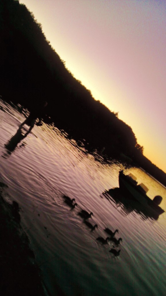 Silhouettes. Typical. 