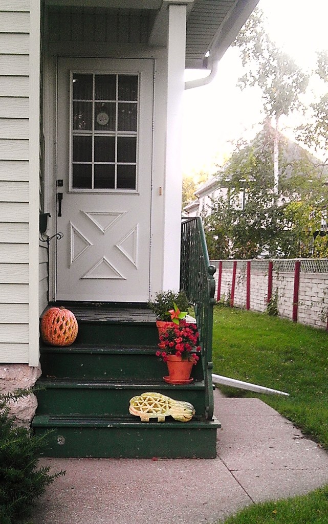 Andrea carved the awesome turtle squash. 