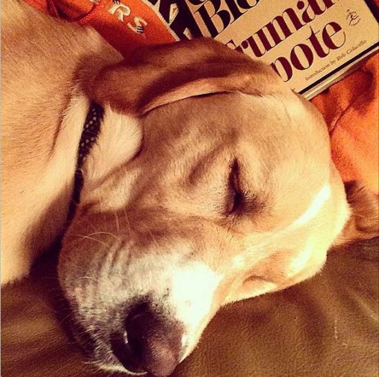 He had been snoring for 20 minutes when I took this picture. 